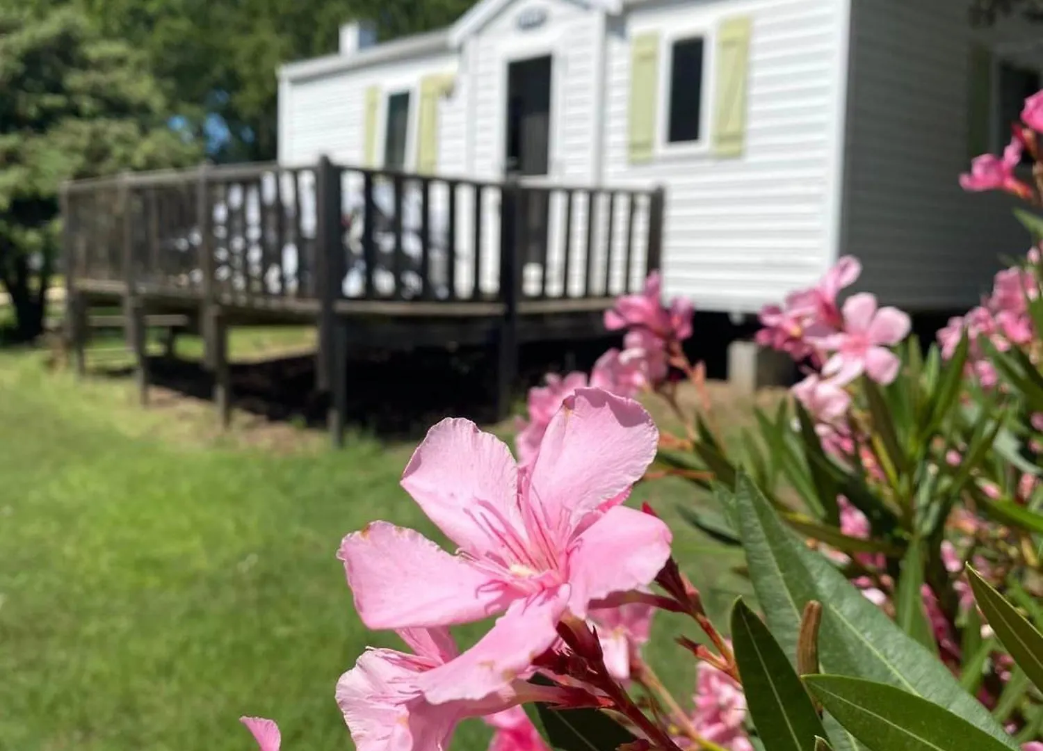 Campsite Domaine De La Cheneraie Hotel Mirabel  France